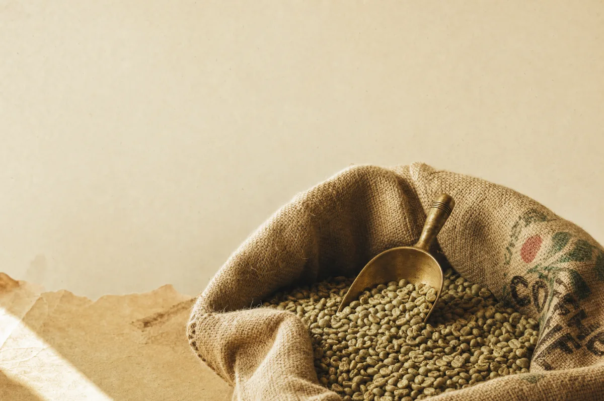 Offener Jutesack mit Rohkaffee und Messingschaufel
